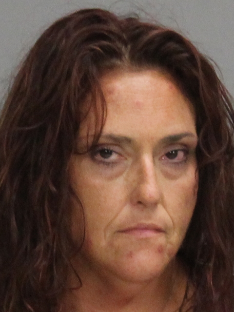 LINDSAY, SARAH ELIZABETH booking photo