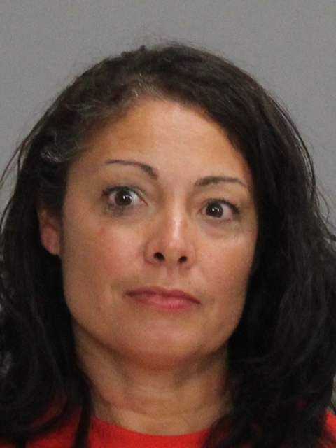 HAMPTON, REGINA WOODARD booking photo