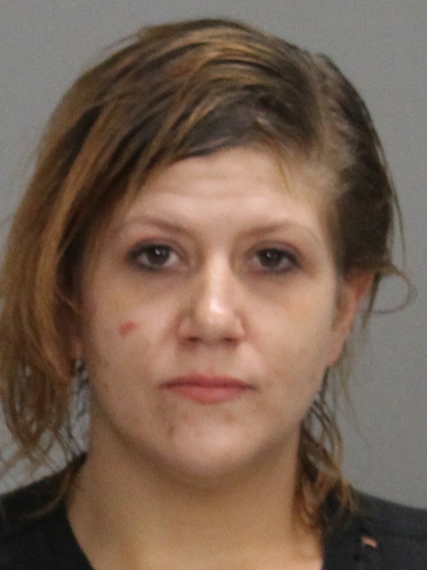 DIXON, ELIZABETH ANN booking photo