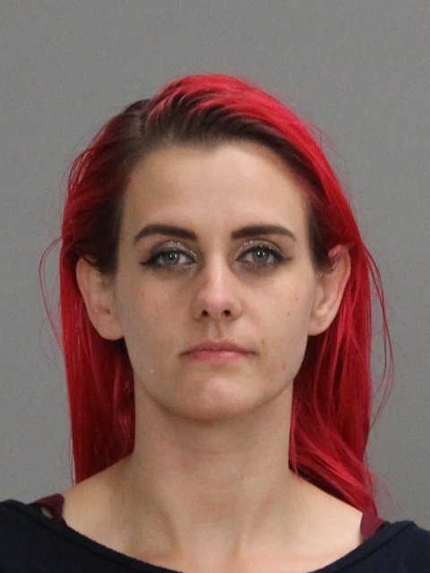 LEHOSKI, SHANNA LOUIS booking photo