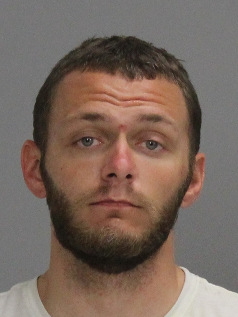 Pelka, Kyle Daniel booking photo