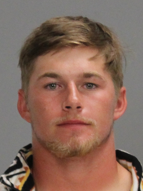 Schulz, Walker Dane booking photo