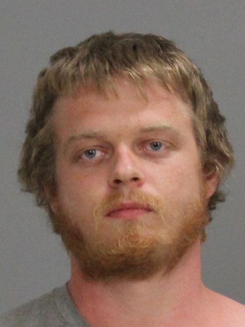 Daniel, Mitchel Alan booking photo