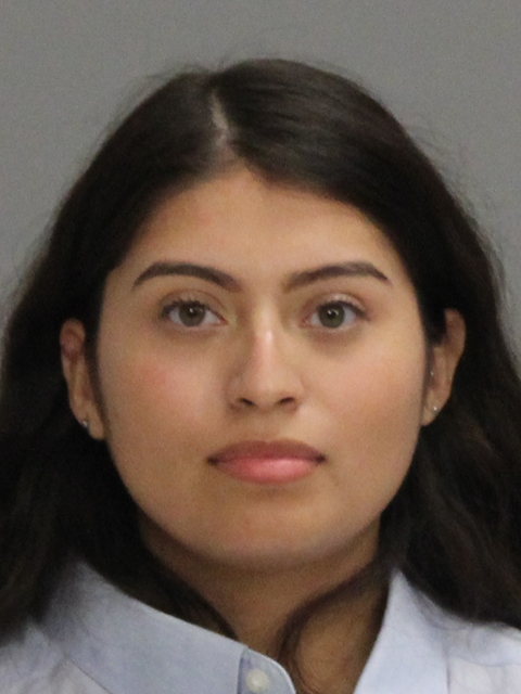 VILLANUEVA, JACQUELINE booking photo