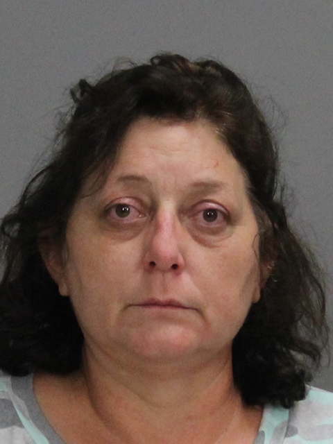 HERRERA, JANE ANN booking photo