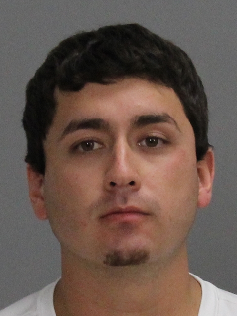 SCHULTZ, GAVEN SETH booking photo