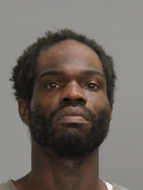 JACKSON, DOMINIC NASHUN booking photo