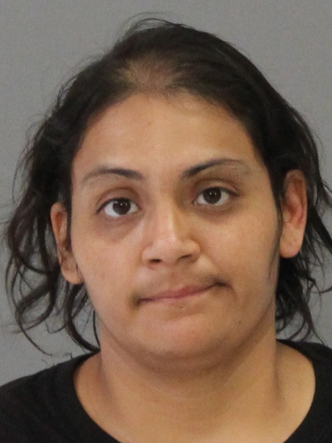 PUGA, ANALISA ESPERANZA booking photo