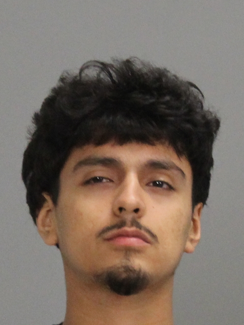 PARRA, DANIEL PEDRO CARPIO booking photo