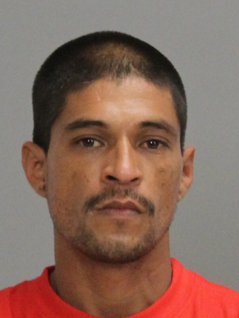 Sustaita, Richardo Lee, Jr booking photo