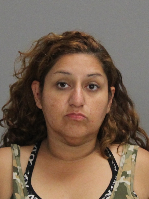 DELEON, JUDY booking photo