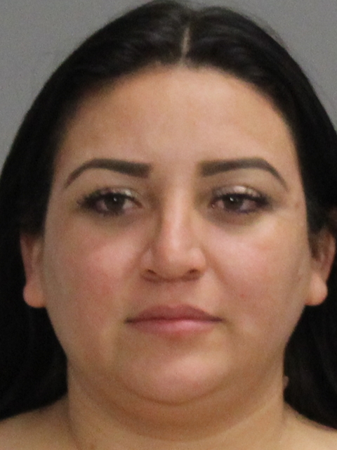 IBARRA REBOLLOAR, YANET arrested by Brazos County SO/PD