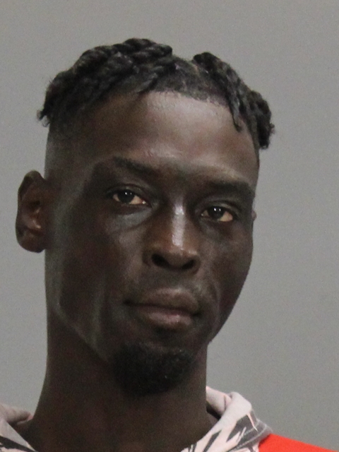 BRONSON, ANTHONY DEWAYNE booking photo