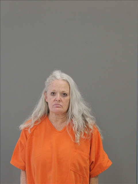 POTTS, CHERYL ANN booking photo