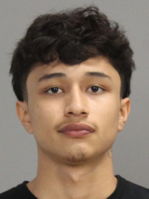 Vela, David Lee booking photo