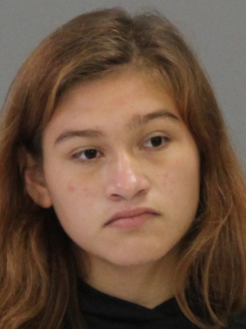 Prado, Cassidy Ann booking photo