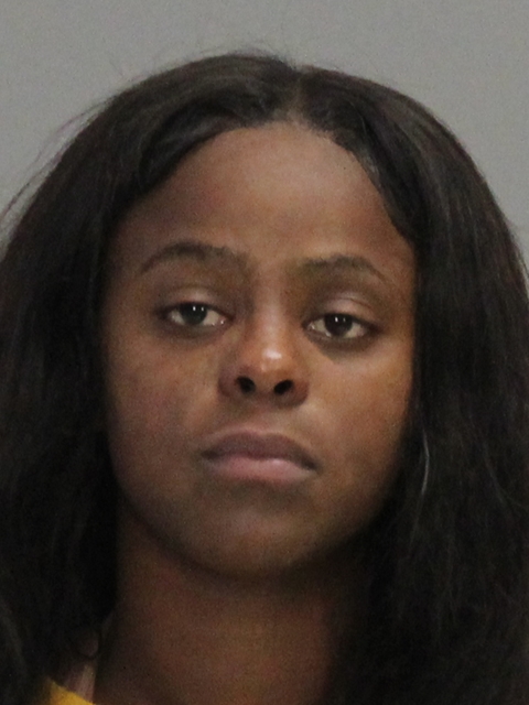JOHNSON, BRIDGETTE MONIQUE booking photo