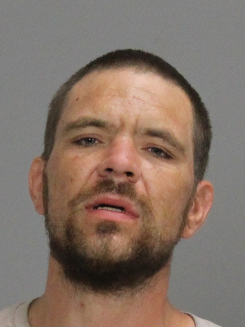 HAYES, TREVOR THOMAS arrested by Brazos County SO/PD