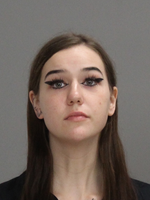 FISCHER, JULIA ELAN arrested by Brazos County SO/PD