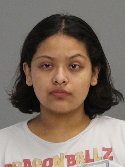 CONTRERAS, ARACELI ALARCON arrested by Brazos County SO/PD