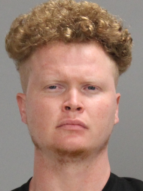 Johansson, David Alan arrested by Brazos County SO/PD