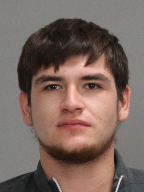 Gideon, Alex Patrick arrested by Brazos County SO/PD