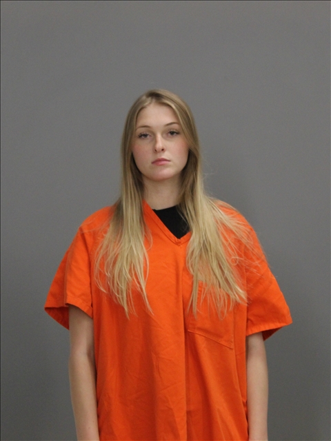 Watson, Hannah Patricia arrested by Brazos County SO/PD