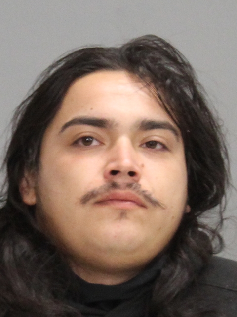 ALVARADO, NICOLAS RYAN booking photo