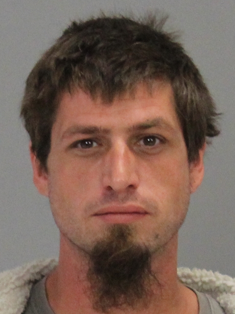 PEARL, RICHARD MARK booking photo