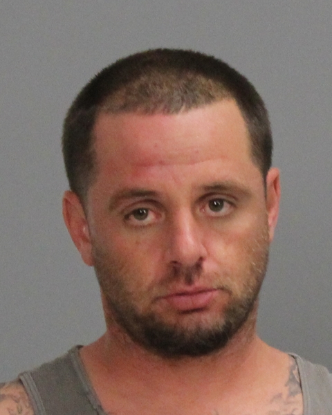 WAGGONER, TROY DON arrested by Brazos County SO/PD