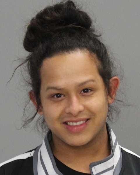 PINEDA, JOHN ROBERT, Jr arrested by Brazos County SO/PD