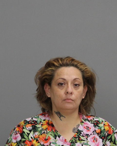LLANAS, CHRISTY ALVAREZ arrested by Brazos County SO/PD
