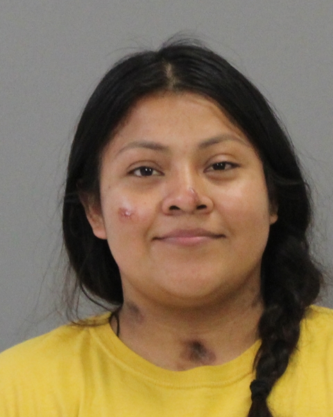 AVALOS, DALIA BALLEZA arrested by Brazos County SO/PD