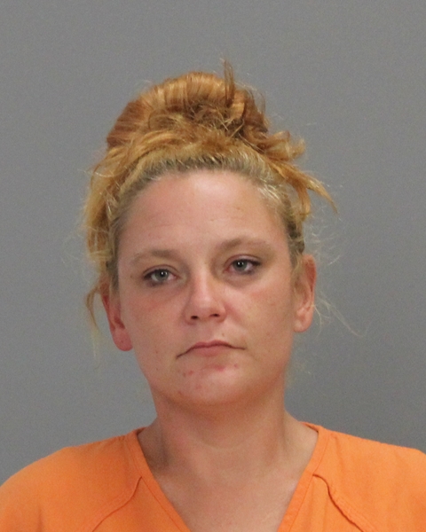 NEWBREY, LINSEY RENEE arrested by Brazos County SO/PD
