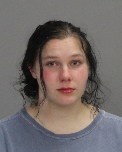 HOLCOMB, RYAN ALEXANDRIA booking photo