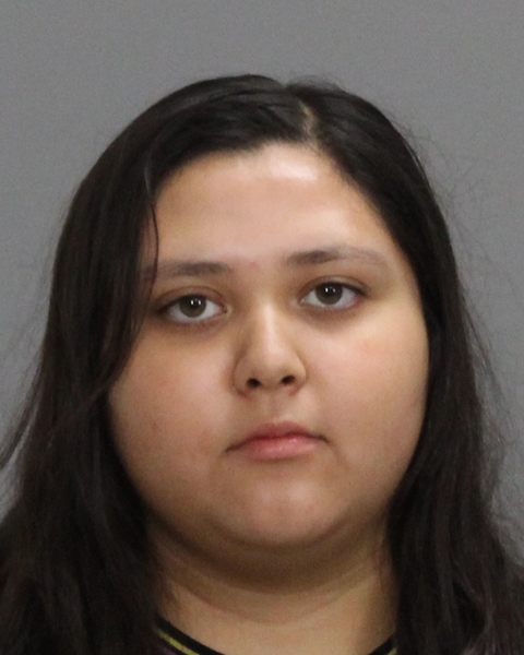 Rangel, Liliana Enez booking photo