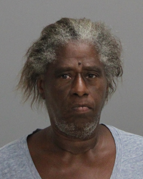 ROBERSON, BRIGETT LAVEL booking photo