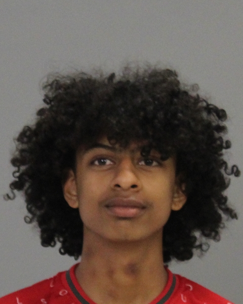 Foley, Jaylyn Demond booking photo