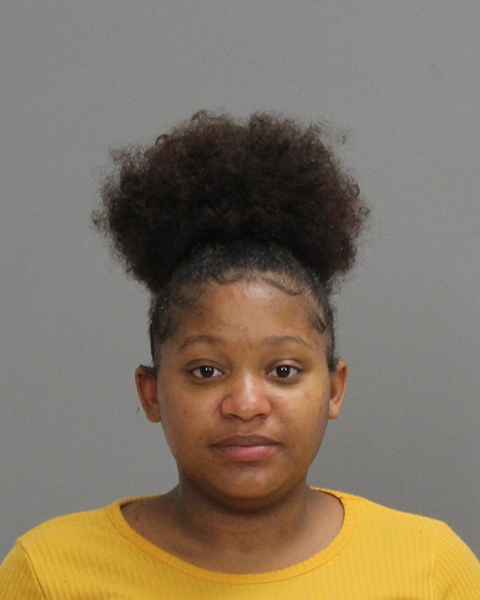 SMITH, VIRGINIA NICOLE booking photo