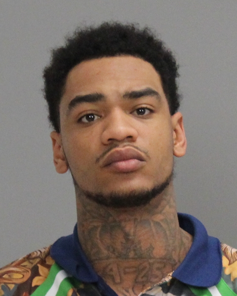 HOLLINGSWORTH, YUL HILLIARD, Jr booking photo