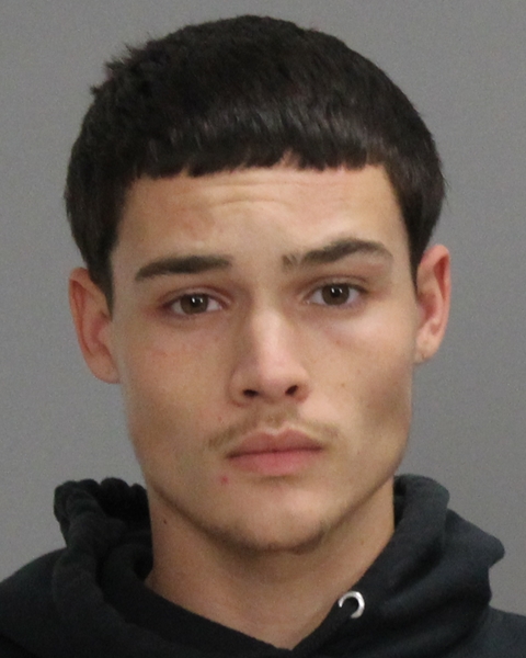 SCHOEN, ANDERS GILLIAM booking photo