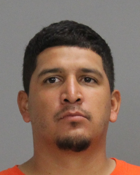CONTRERAS, DAVID, Jr booking photo