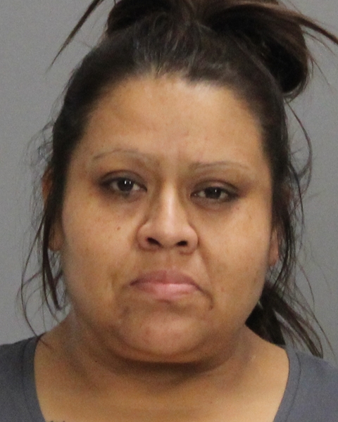 ARENAS, AMY MICHELLE arrested by Brazos County SO/PD