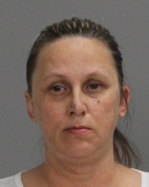 DAVIS, LISA ANN arrested by Brazos County SO/PD