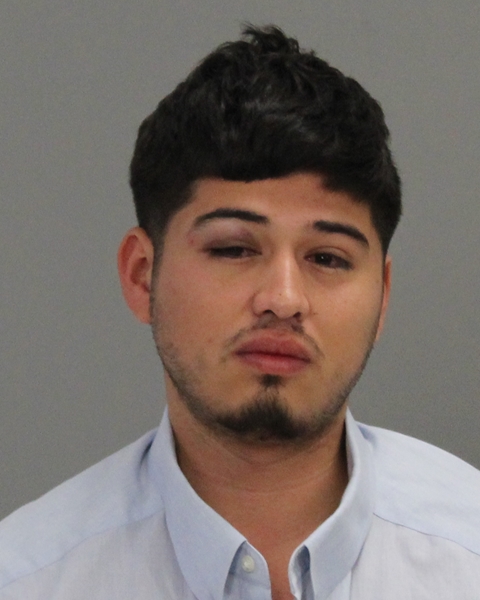 ARRIAGA, JOANNE arrested by Brazos County SO/PD