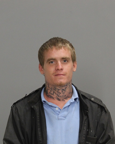 NEWTON, BRANDON LEE arrested by Brazos County SO/PD