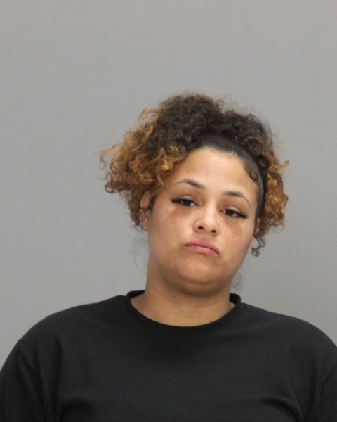 Mims, Alissa Ann arrested by Brazos County SO/PD
