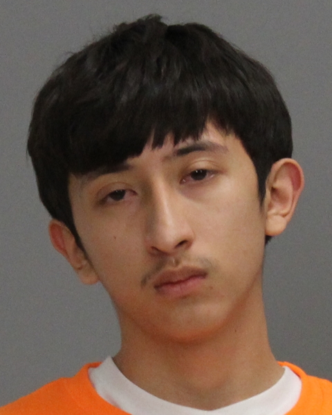 Ostiguin, Ricardo Andre arrested by Brazos County SO/PD