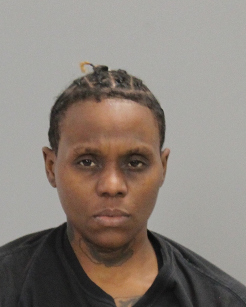 BURLESON, CRYSTAL LEE arrested by Brazos County SO/PD