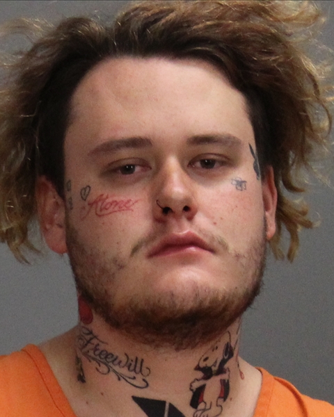 HOLGUIN, CHRISTOPHER TAYLOR booking photo